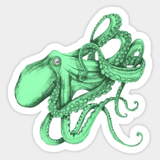 Octopus, green, on black. A tangle of tentacles. Sticker